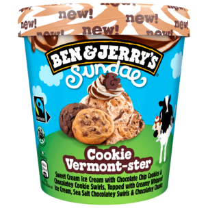 Ben & Jerry's Sundae Eiscreme Cookie Vermont-ster 427ml